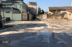 1706172236400.jpg