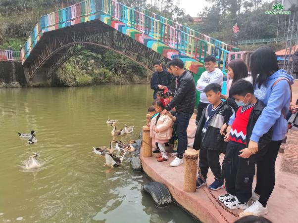 图片14.jpg