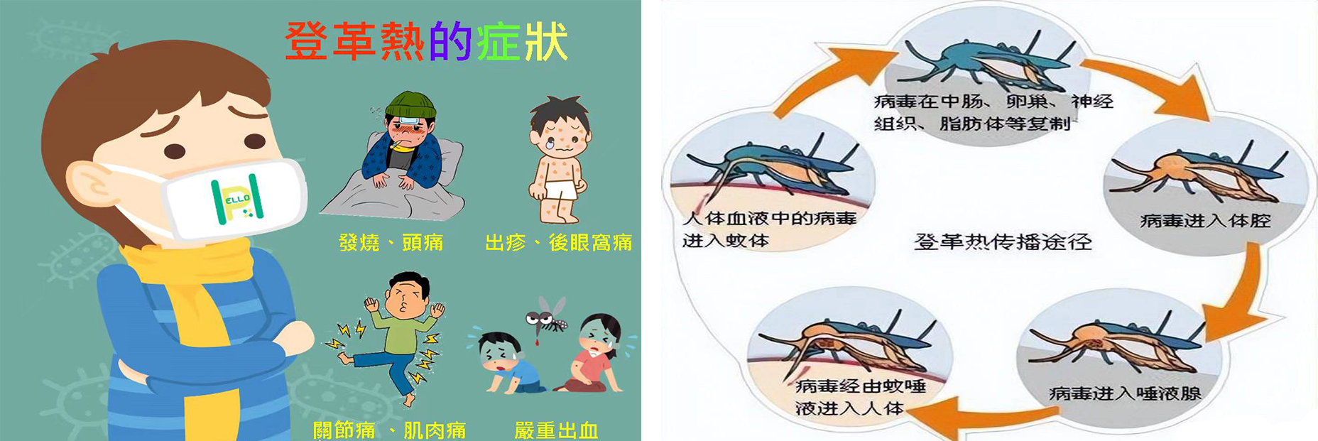 拼图11.jpg