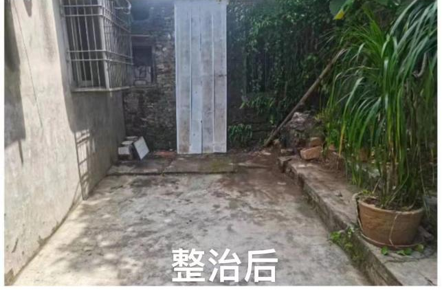 图片11.png