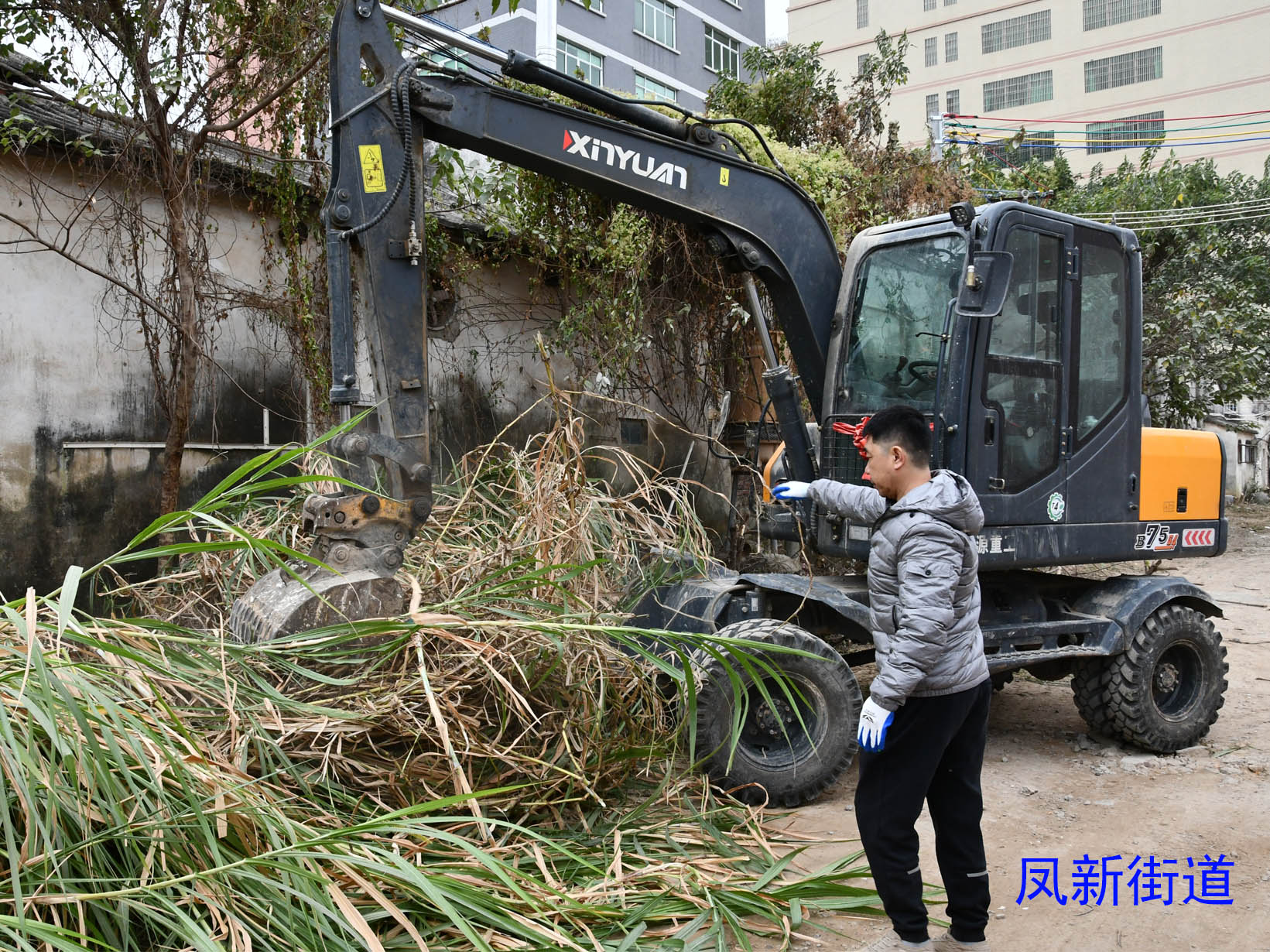 凤新.jpg