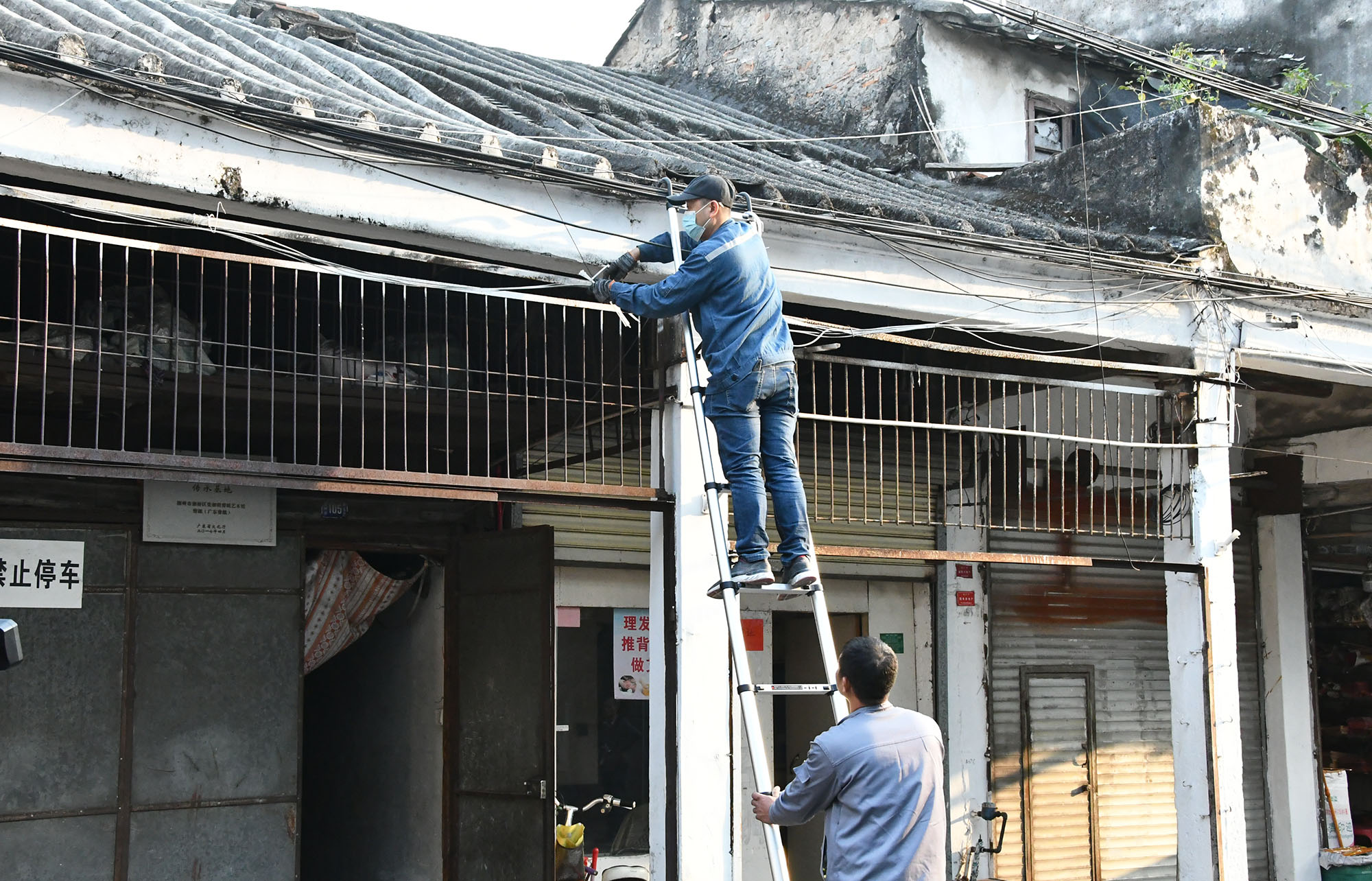 DSC_6811_dajing.jpg