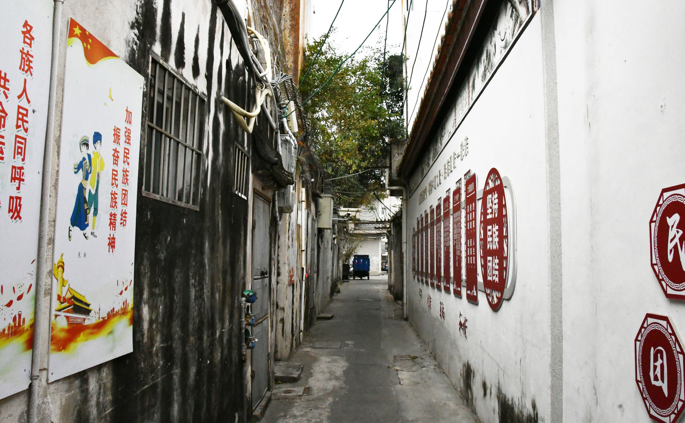 DSC_7602（压缩）.jpg