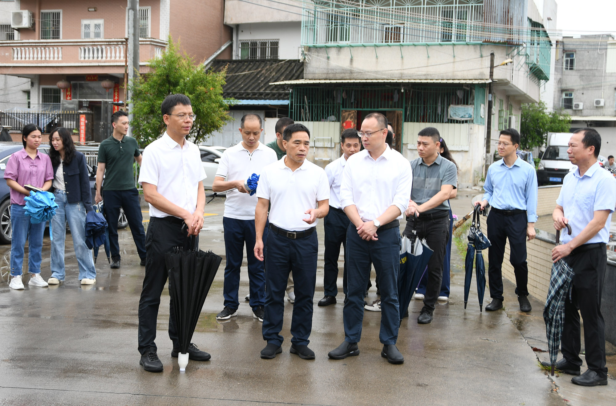 DSC_7138_dajing.jpg