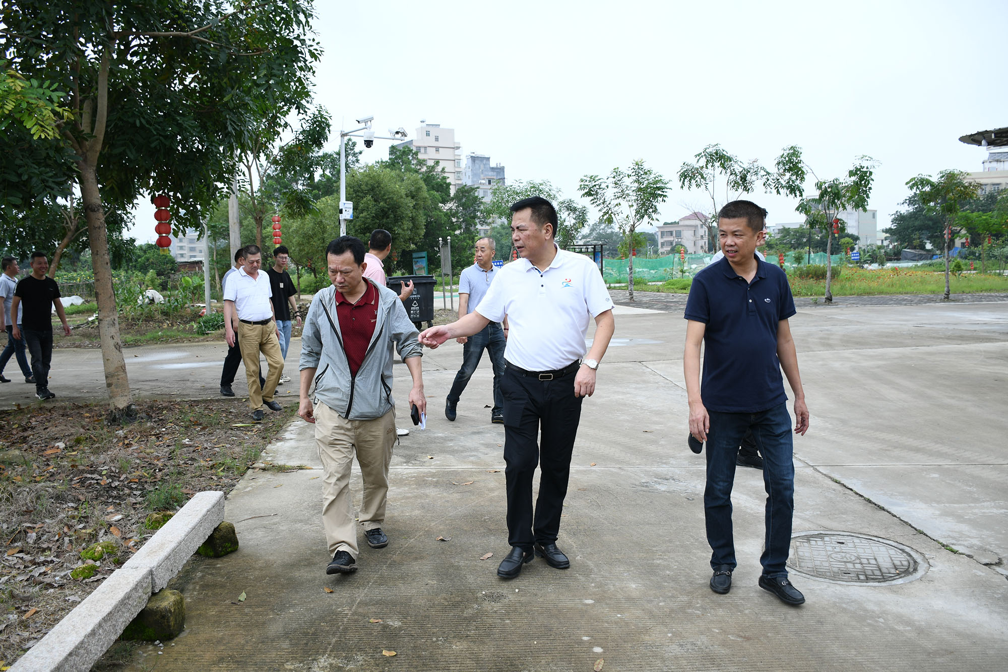 DSC_6311_dajing.jpg
