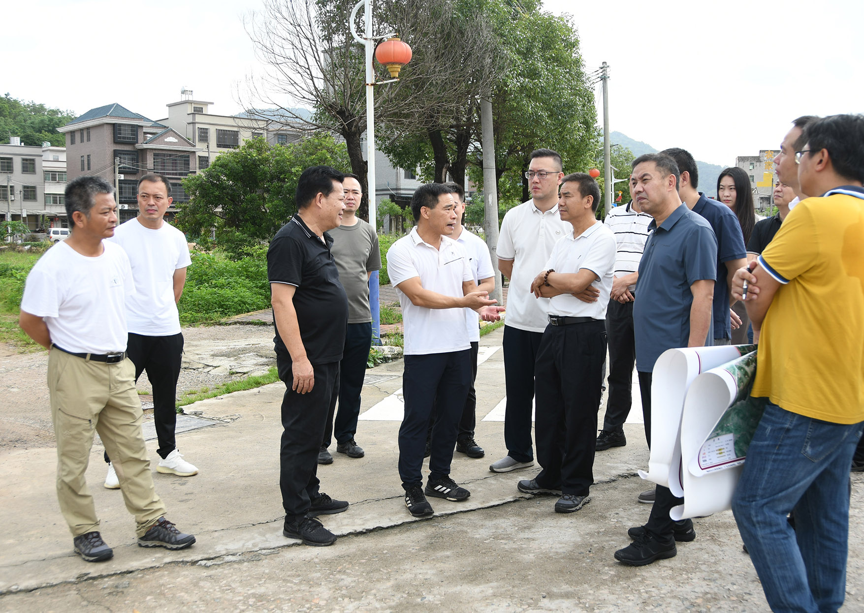 DSC_8507_dajing.jpg