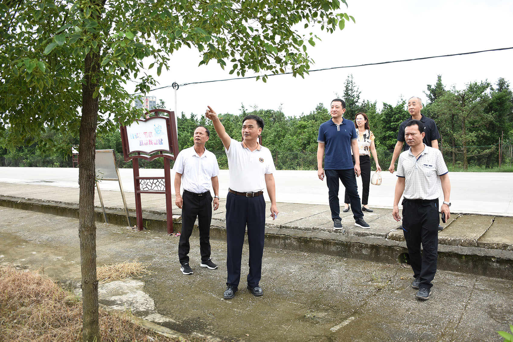 DSC_0980_dajing.jpg