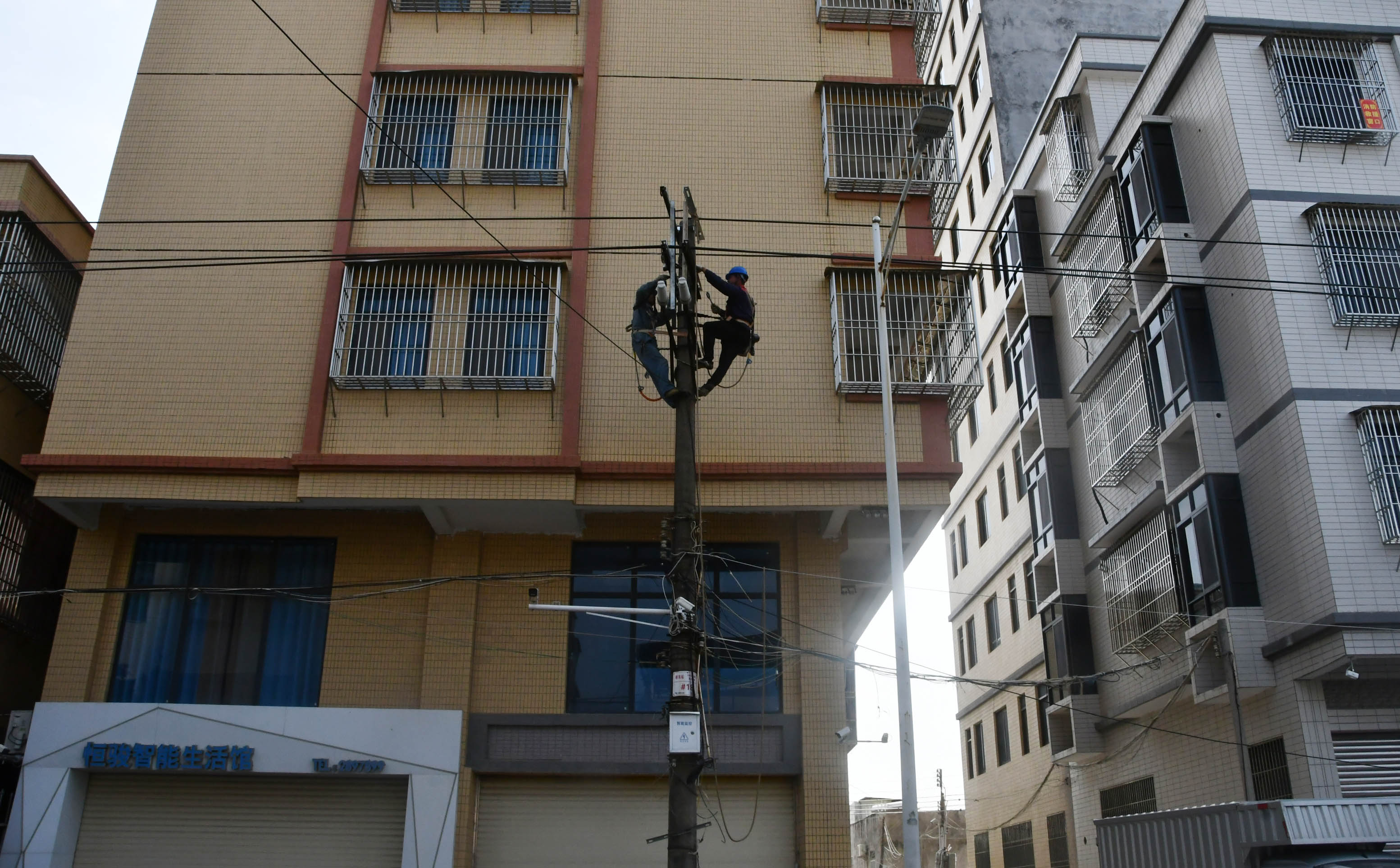 DSC_559压缩.jpg