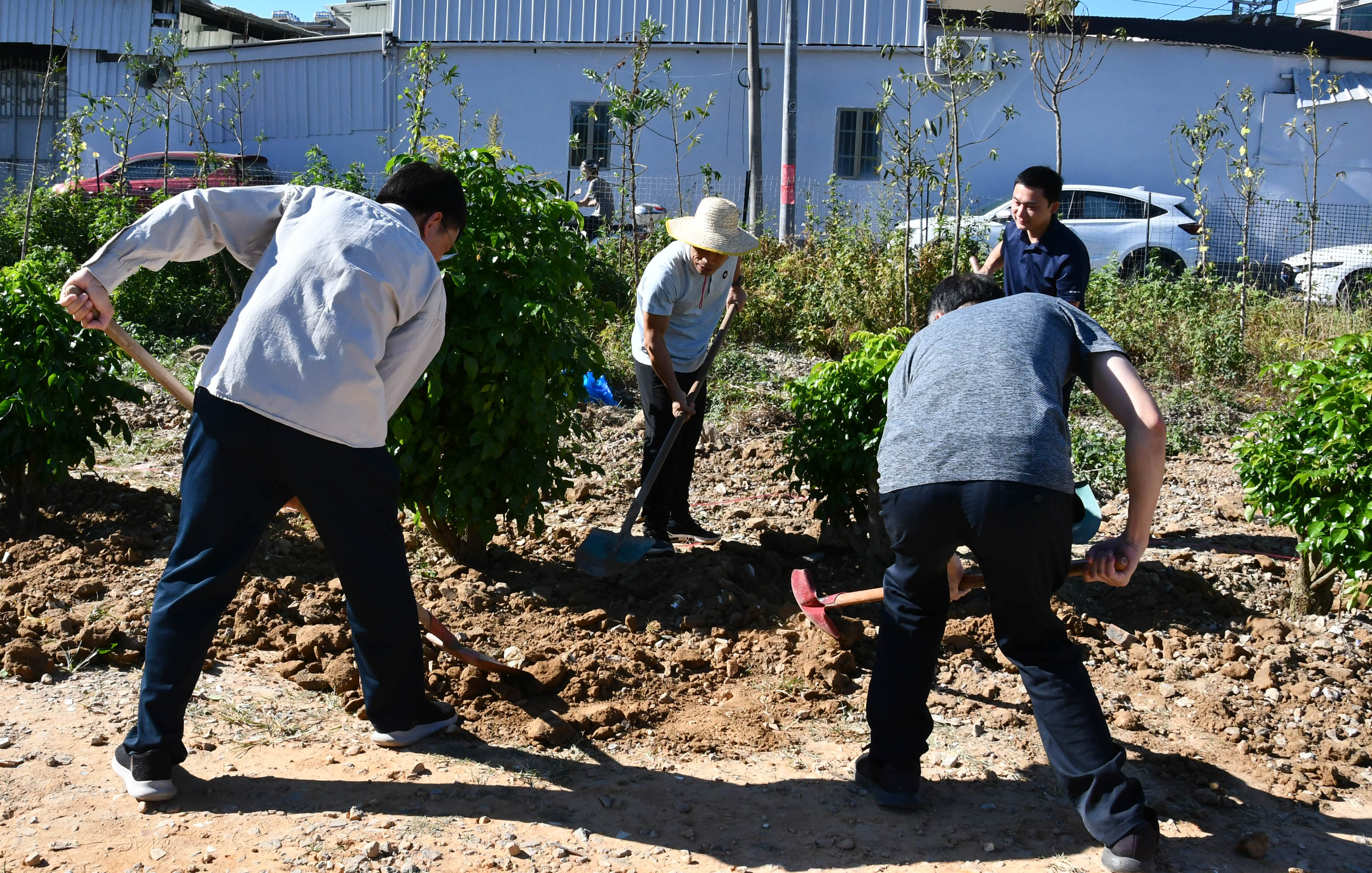 DSC_6070压缩.jpg