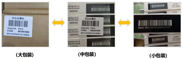 640.webp (1).png