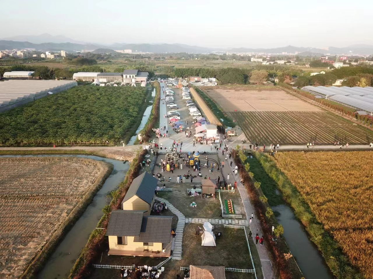 日绅5.jpg