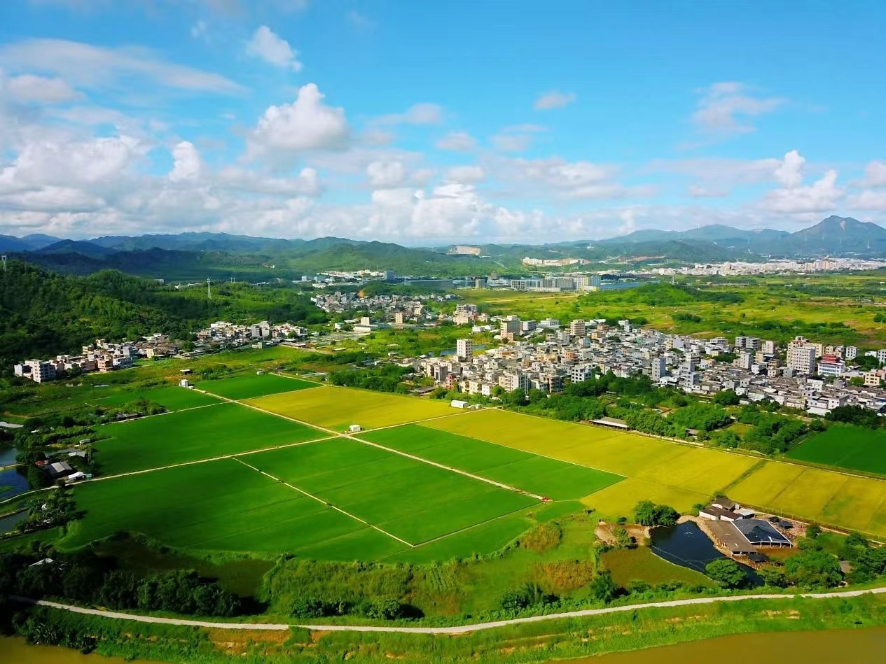背景图9.jpg