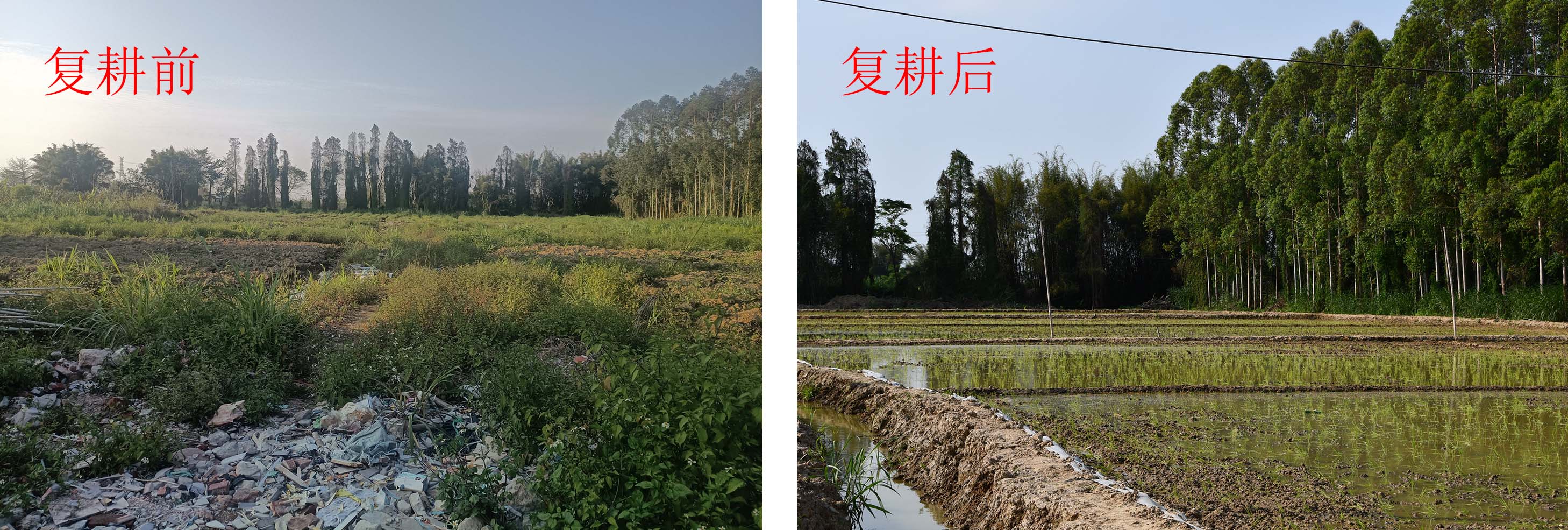 拼好.jpg